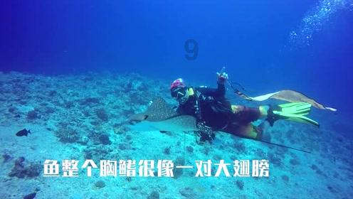 探讨天涯问题,尽在想要知道怎么减肥吗?交流平台