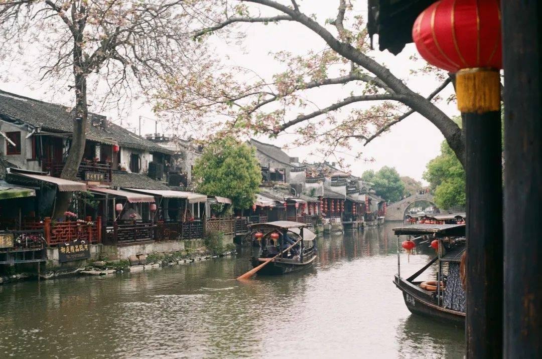 小学实习教师如何变成正式教师？游戏画面